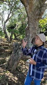 VIRAL!!! THE OLDEST TEMPLE IN EAST JAVA HAS BEEN FOUND IN THE FORMER ANCIENT VILLAGE OF MAJAPAHIT?!