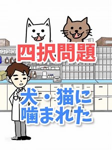 猫・犬に噛まれた時の抗生物質は？オーグメンチン（アモキシシリン）など第一選択を薬剤師が解説