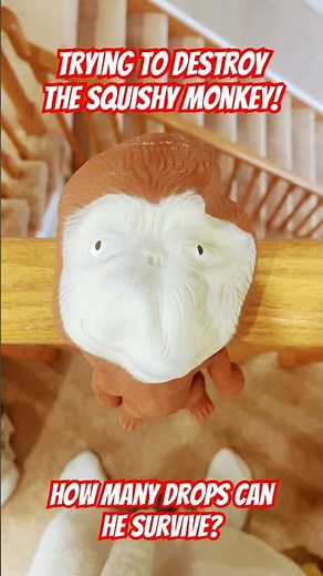 Trying To DESTROY The Squishy Monkey! #funny #monkey #comedy #animals #toys #squishy