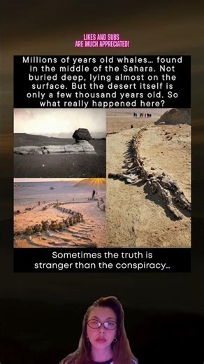 The Sahara’s Whale Graveyard Explained