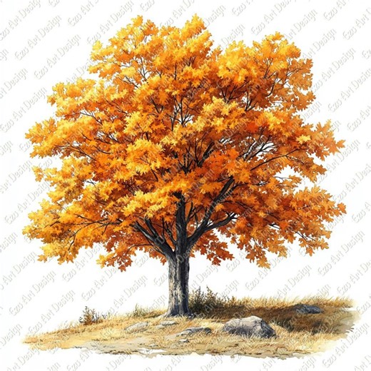 Autumn Tree Clipart Clipart, 10 High Quality JPG, Watercolor Foliage, Tree Illustration, Seasonal Artwork - Etsy
