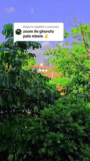 Replying to @ogidi25 #fyp