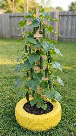 Start Cucumber Seedlings in Eggshells