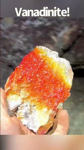 100ft underground! Digging for beautiful Vanadinite crystals in Arizona.
