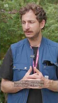 AI garden at Chelsea Flower Show brings visitors closer to nature 🌻