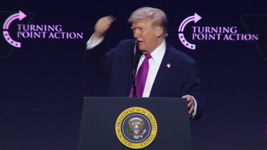 Trump, 79, gets weird about racer Danica Patrick’s hair