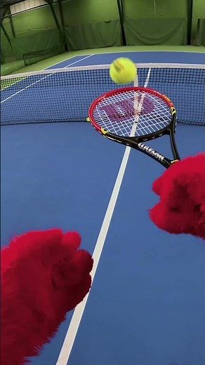 POV: Red Plays Tennis! 🎾