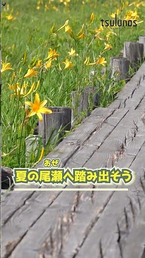 木道の先に広がる、夏の尾瀬。｜メディアプロモーション課｜群馬県