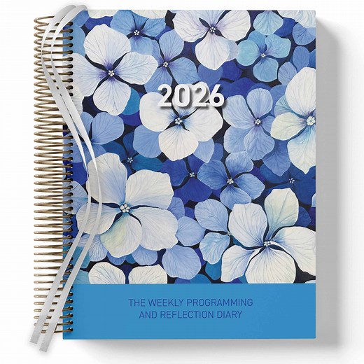 2026 Weekly program | Critical Reflection Journal | Child Educator Diary