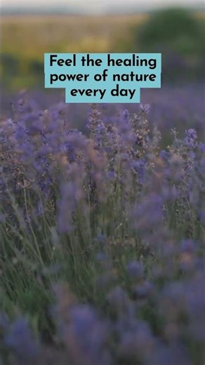 Natural Stress Relief with Essential Oils