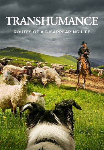 Transhumance: Routes to a Disappearing Life (2021)