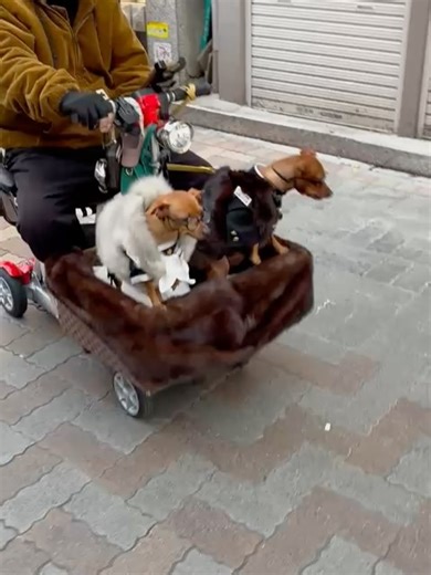 Hilla Alroy on Reels