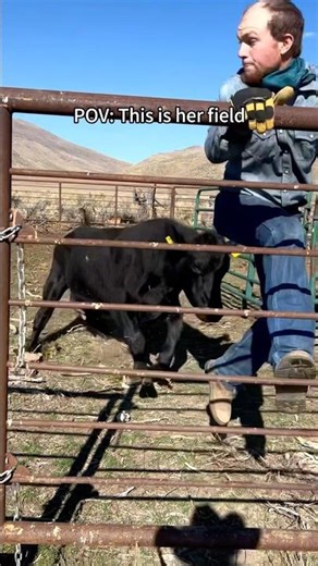 No trespassing—farm security is watching🚨#farmsecurity #notrespassing #fyp #barnlife #horse #cow