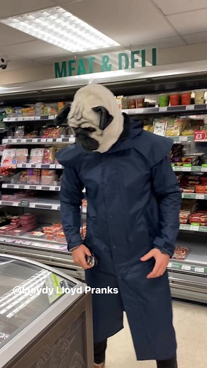 7.7K views · 46 reactions | Eating dog food PRANK! #fbreels #comedy #reels #prank | Lloydy Lloyd | Facebook