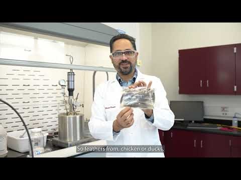 Dr. Mojtaba Enayati – Chemical Recycling