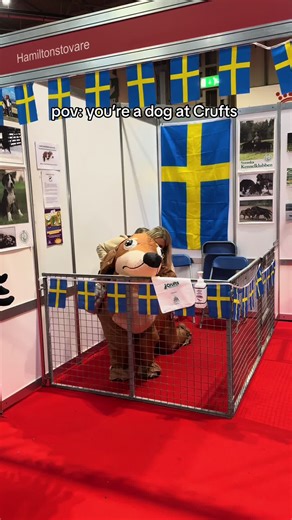 Exploring Crufts 2026: A Dog's Perspective