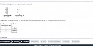 The figures below represent two chromosomes from an animal.Ch... | Filo