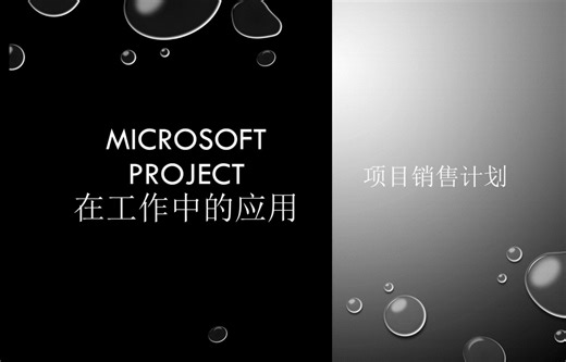 Project编制销售计划