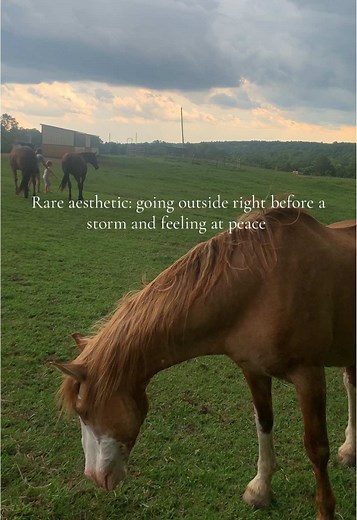 The Beauty of April Showers
