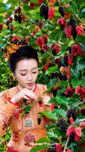 Beautiful nature with rural life –harvest fresh fruits 🍒🍇🍑 #fruit #shorts #yummy