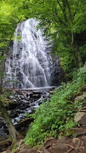 Explore Crabtree Falls: A Nature Lover's Paradise