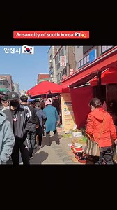 Ansan city of South Korea #ansan #southkorea | Rana Rashid online