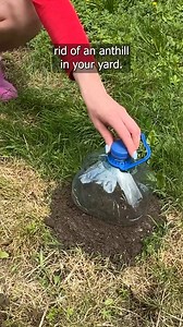 Effective trick against ants 🤫 | Clever Life Hacks