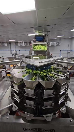 Family Fresh Foods (FFF) proudly offers a diverse array of products and cut sizes. Can’t find exactly what you need? We thrive on collaborating with our customers to create custom items or pack sizes to meet their needs. Don’t hesitate to contact us at orders@familyfreshfoodservice.com. | Nickey Gregory Company