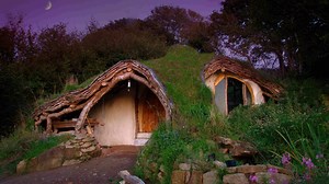 Awesome 8 Wacky Houses