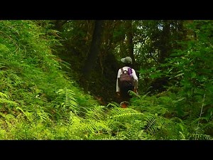 美麗迷人的五星級步道~瓦拉米