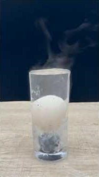 The Great Block Party Pie Sabotage and Zip-Tie Trap #truestory #blockpartydrama