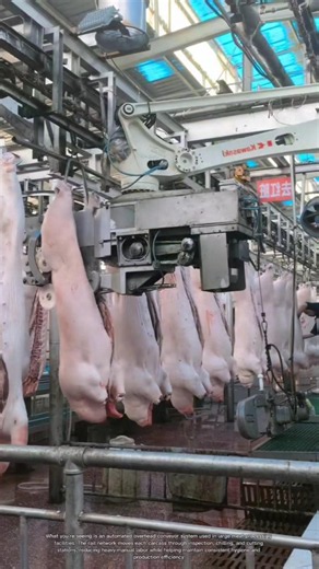 How Automated Conveyor Systems Move Thousands of Carcasses a Day #rurallife #livestocklife #farm