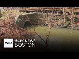 Why dirty water is still a problem for rivers, brooks in Greater Boston