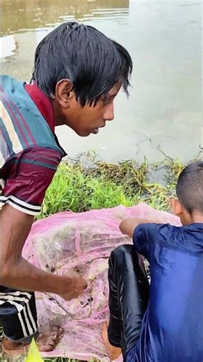 Village Kids Catching Fish with Net | Deshi Fish from Pond | Traditional Fishing in Bangladesh