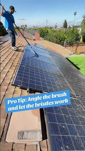 Cleaning Lichen Off Solar Panels Without Chemicals