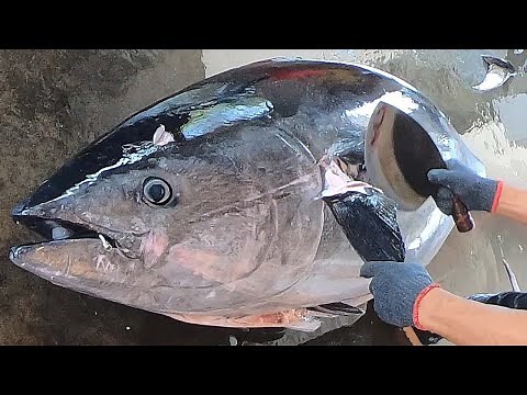 How to cut the giant TUNA skillfully at fish market in Taiwan