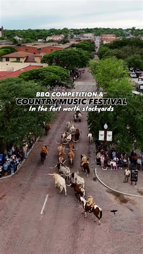 Syndicate Smokedown: A Texas Festival Experience