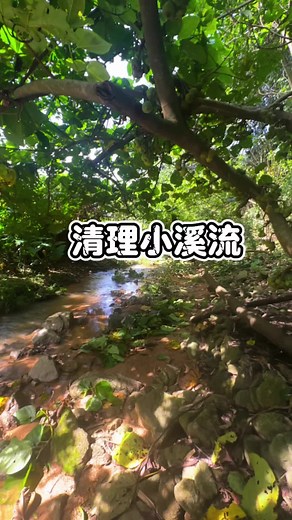 清理山涧小溪，重现乡村田园之美