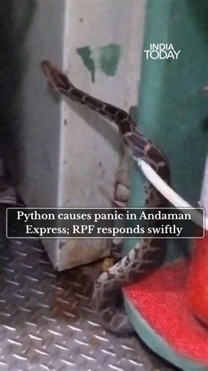 40K views · 145 reactions | Telangana: Panic gripped passengers...