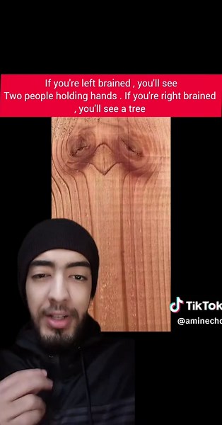 Understanding Left Brain vs. Right Brain Functions