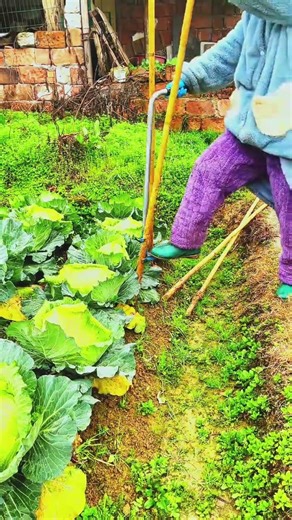 Greenhouse Pipe Inserter #Agricultural Support Program" #gardening #freshlypicked #garden