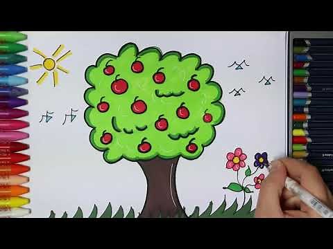 Cómo Dibujar y Colorear Árboles de Manzana | Dibujos Para Niños | Aprender Colores 🎨