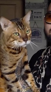 Audrey Audrian on Reels