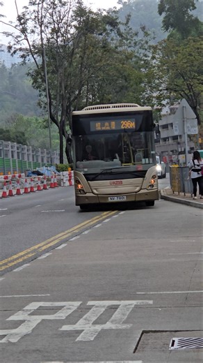[橙牌短雞] 九巴 ASB18 NV7801 行駛 296M 路線 #kmbcompany #kmb #asb #scania #bus #巴士