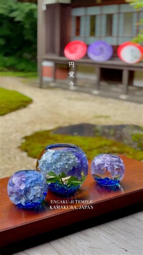 円覚寺(鎌倉) / Engaku-ji Temple in KAMAKURA