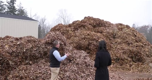 East Grand Rapids leaf collection program transforms yard waste into a resource