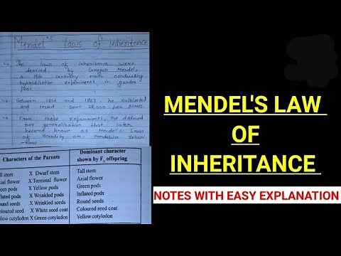 MENDEL'S LAW OF INHERITANCE NOTES #biology #bsczoology #science #class12biology