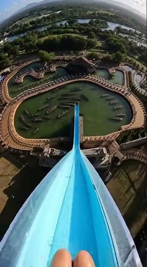 Slide down into the pool teeming with giant sea creatures #funny #memes
