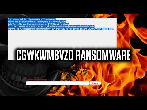 Jangan Lakukan Ini Jika File Kamu Terkunci Ransomware cgwkwmbvzo!
