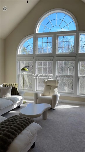 Let’s set up our new cozy Amazon cat tree ☁️🐱 #cattree #cozyhome #home #cozyhome #amazonfinds